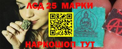 скорость Кингисепп