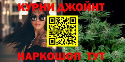 скорость Кингисепп