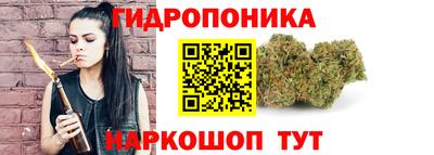 хмурый Кинель