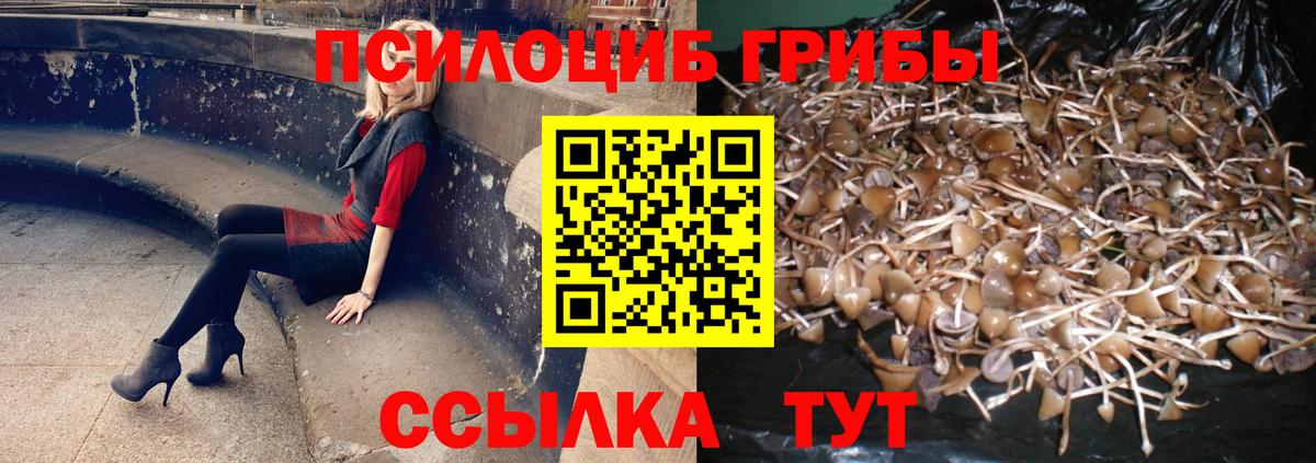 Псилоцибиновые грибы Cubensis Комсомольск-на-Амуре