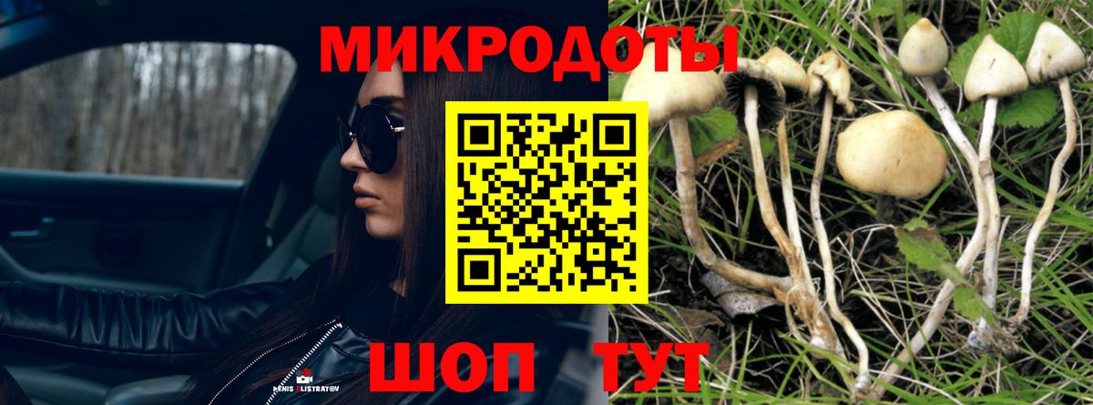 Комсомольск-на-Амуре  Псилоцибиновые грибы Psilocybine cubensis  Вход с VPN 